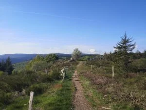 Randonnées en Montagne Bourbonnaise avec Thierry PRÉGENT, Accompagnateur en Montagne